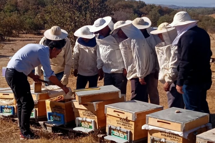 Manisa Saruhanlı’da ‘kışlatma’ eğitimi
