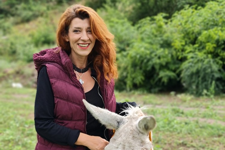 HAYDİKO’dan destek çağrısı