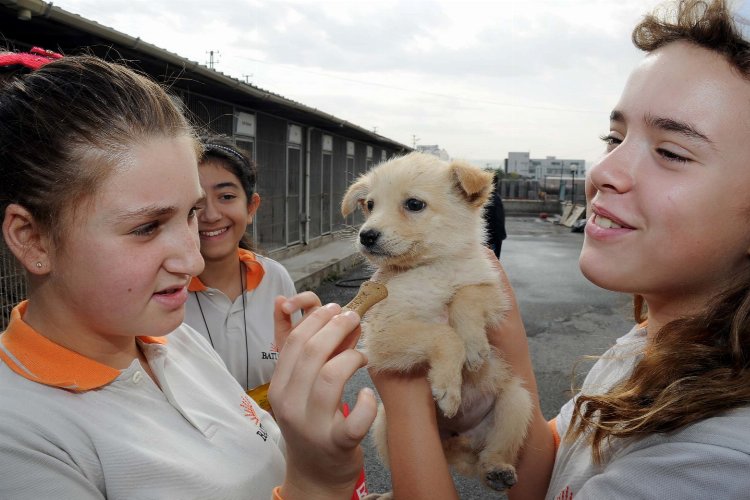 Kocaeli’de 5 bine yakın soak hayvanı sahiplendirildi