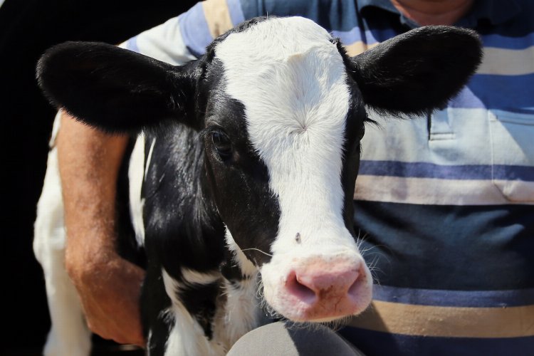 Bursa Yenişehir’de destekleme listeleri askıya çıktı