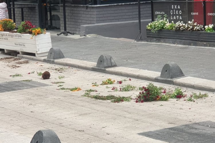 Kocaeli İzmit’te kamu mallarına zarar verildi!