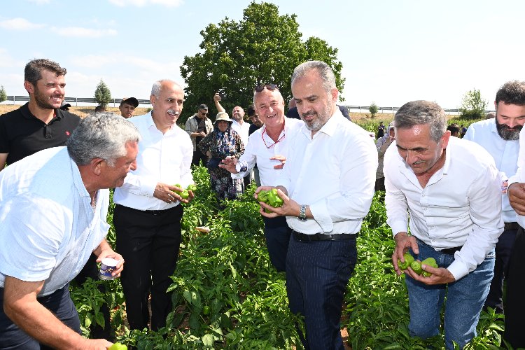 ‘Yenişehir Biberi’ de tescili aldı… Bursa’nın tescilli ürünleri 24’e çıktı